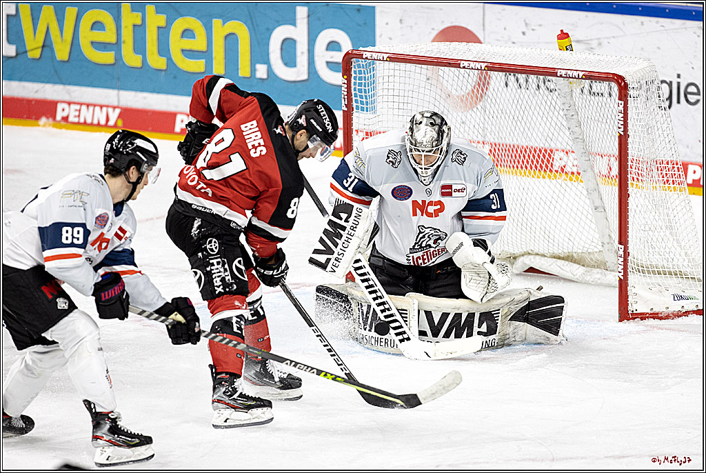 PENNY DEL; Koelner Haie - Nuernberg Ice Tiger; Koeln, 21.09.2021